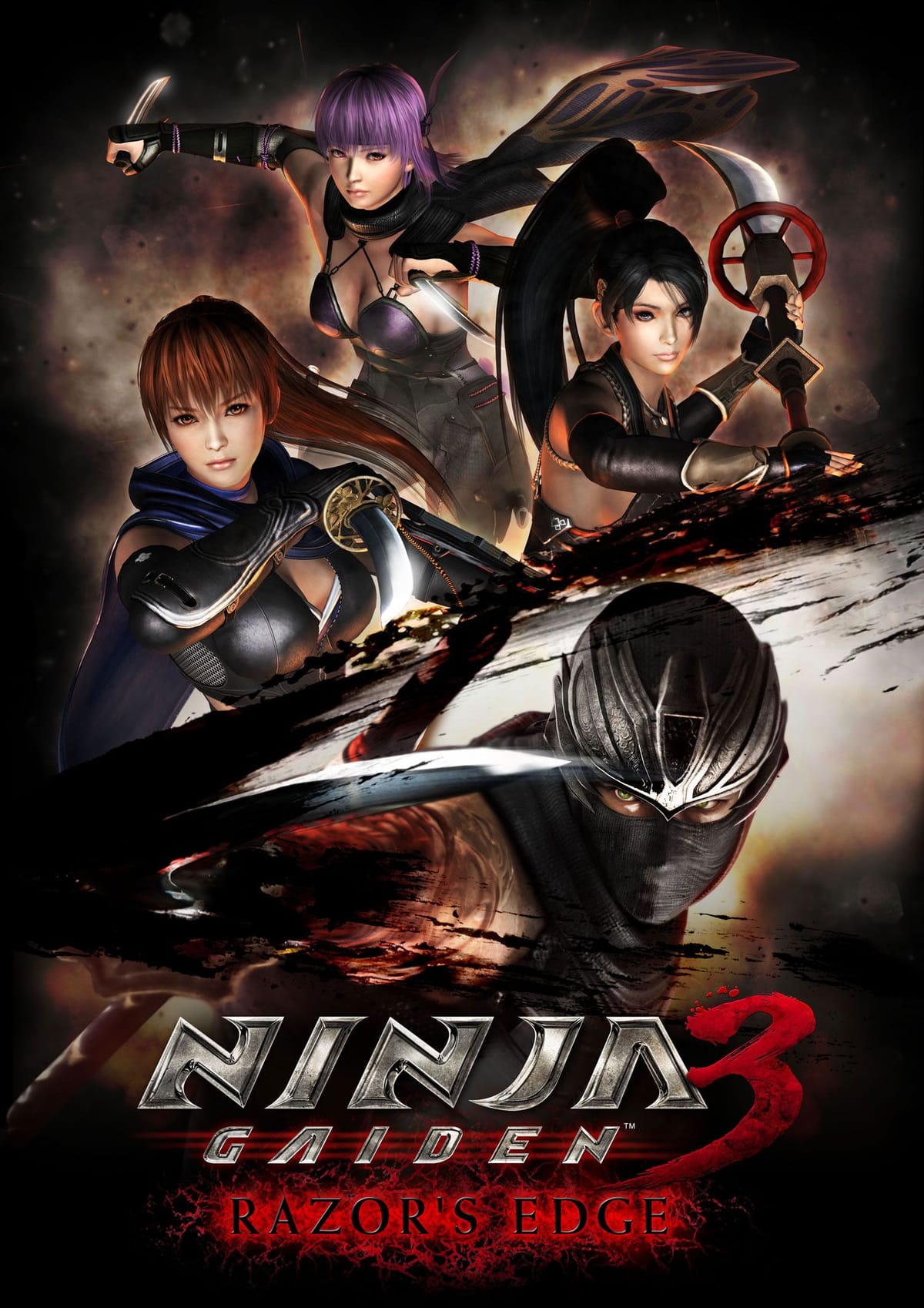 Ninja Gaiden poster