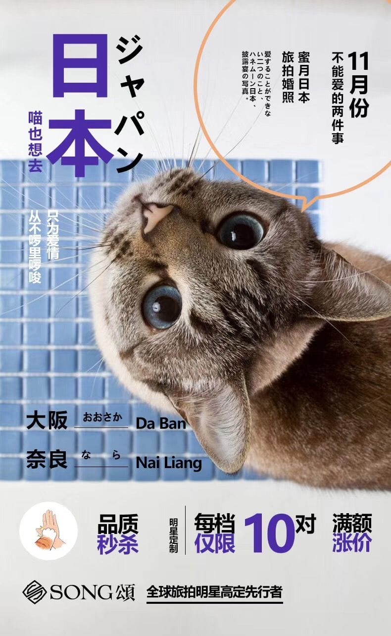 Cats poster