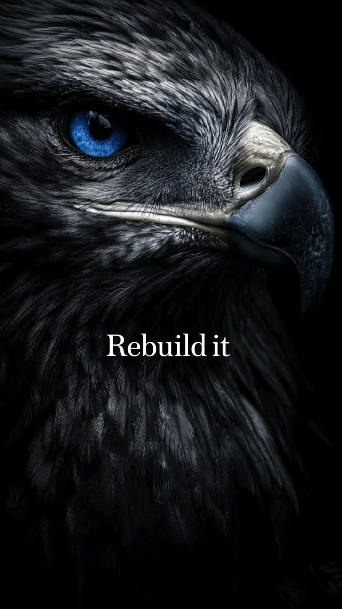 Rebuild it