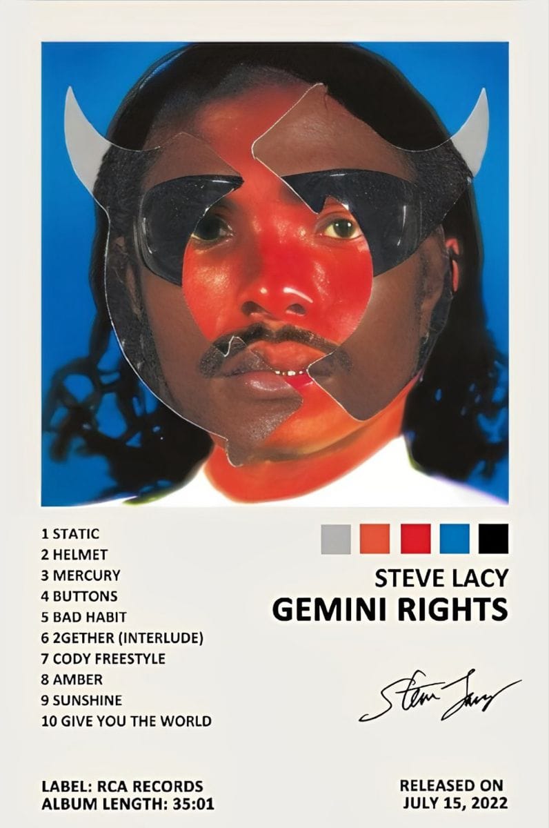 gemini rights poster