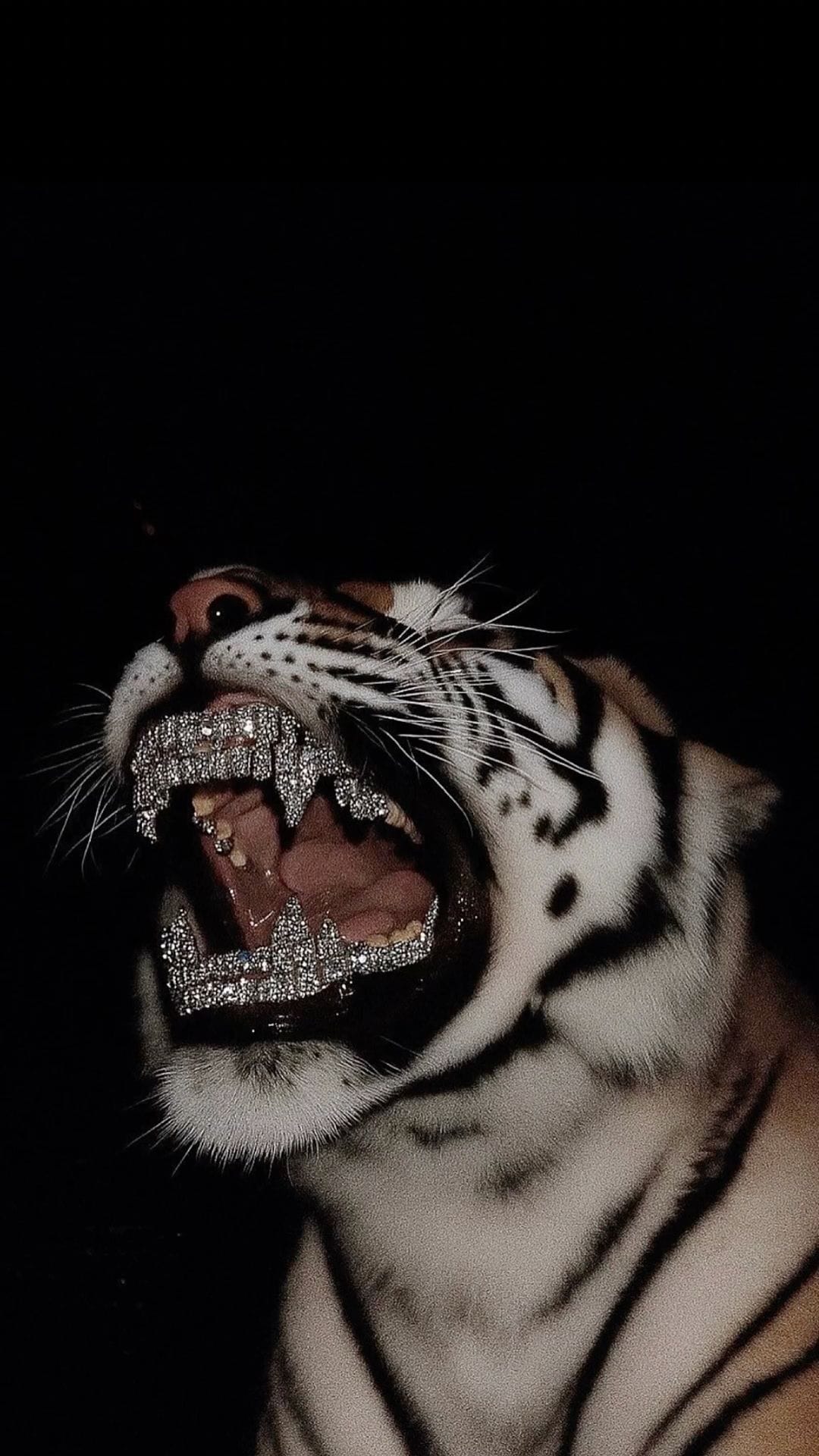 Tiger Wallpaper 🐅