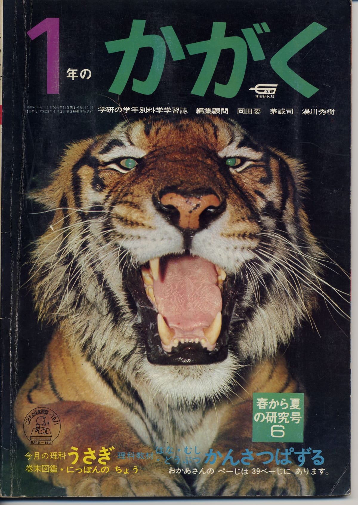 Tiger poster