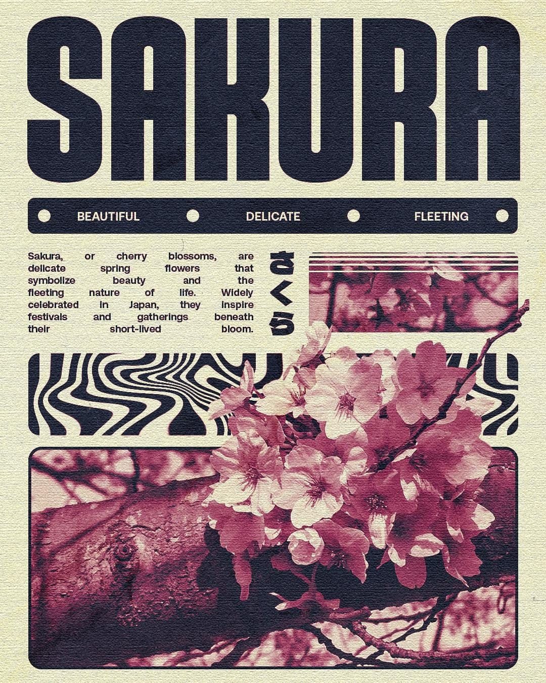 Sakura poster - original size 1350 x 1080