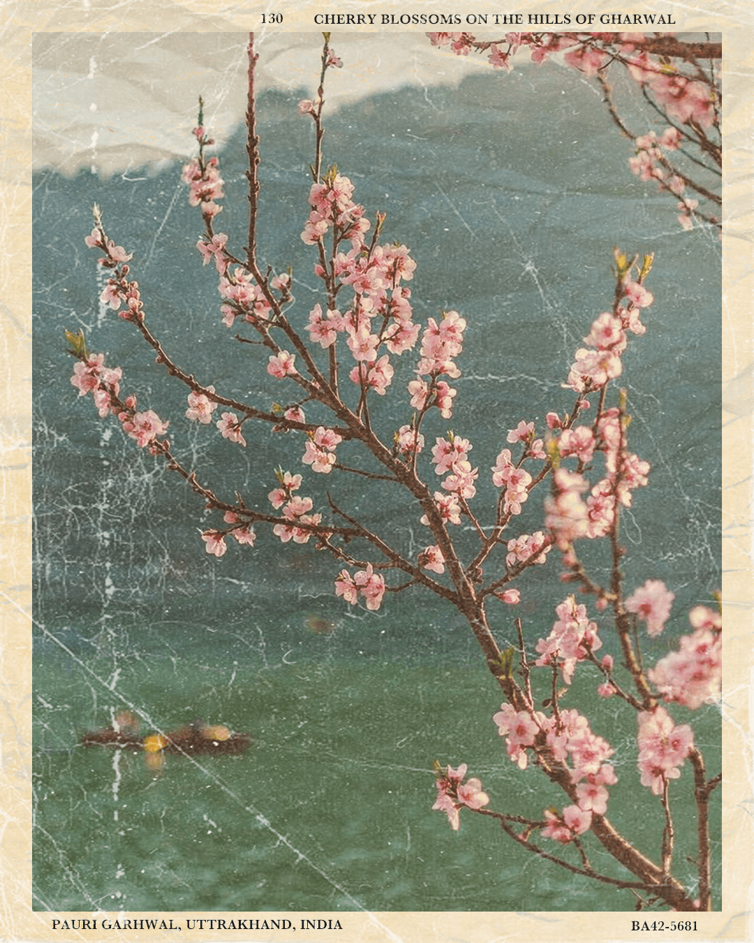 Vintage Postcards Printable