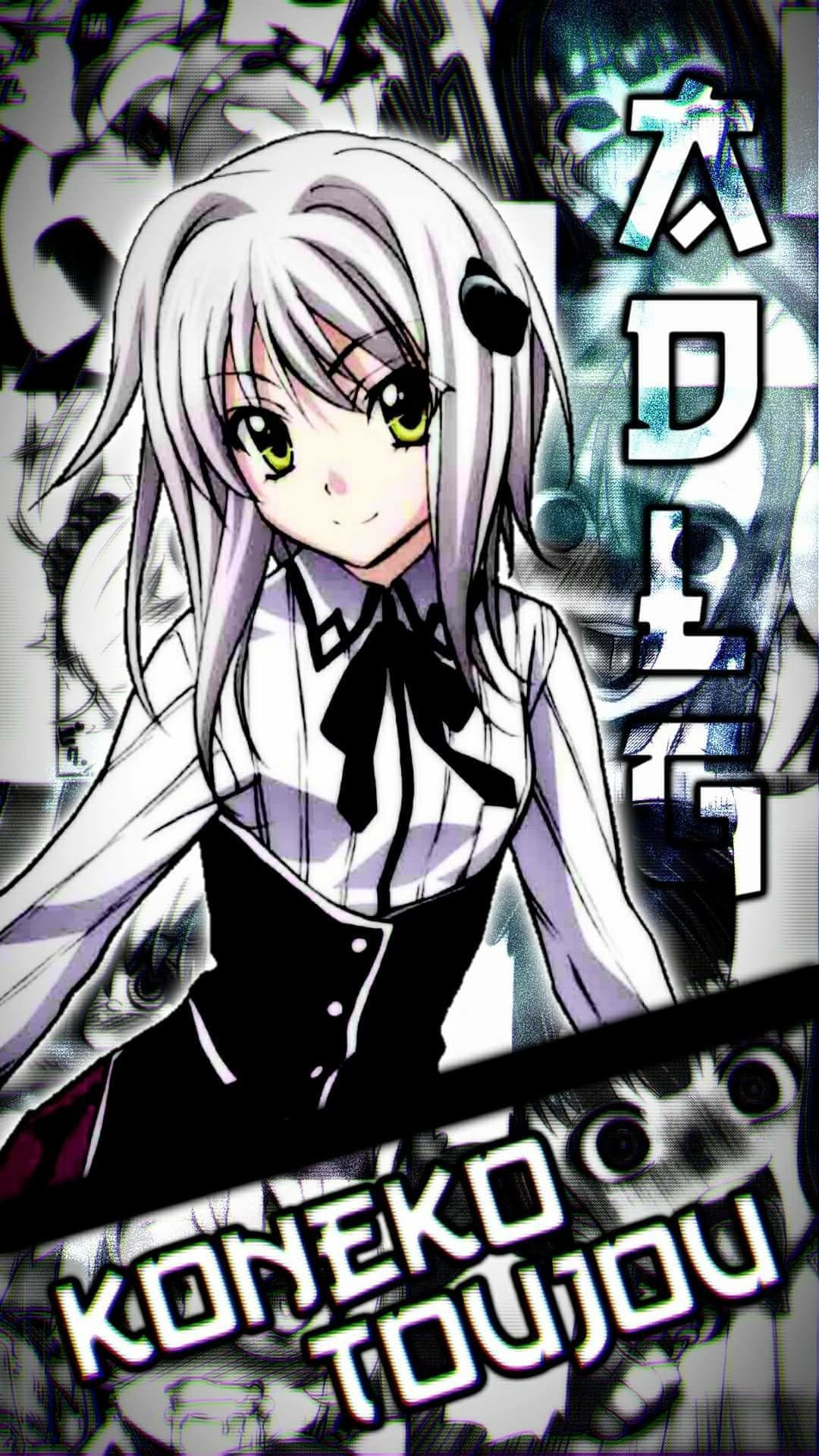 High School DxD poster