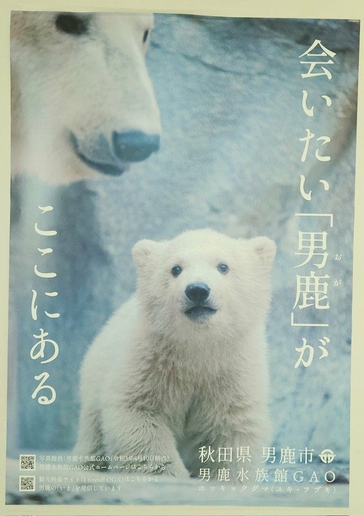 Polar bear poster