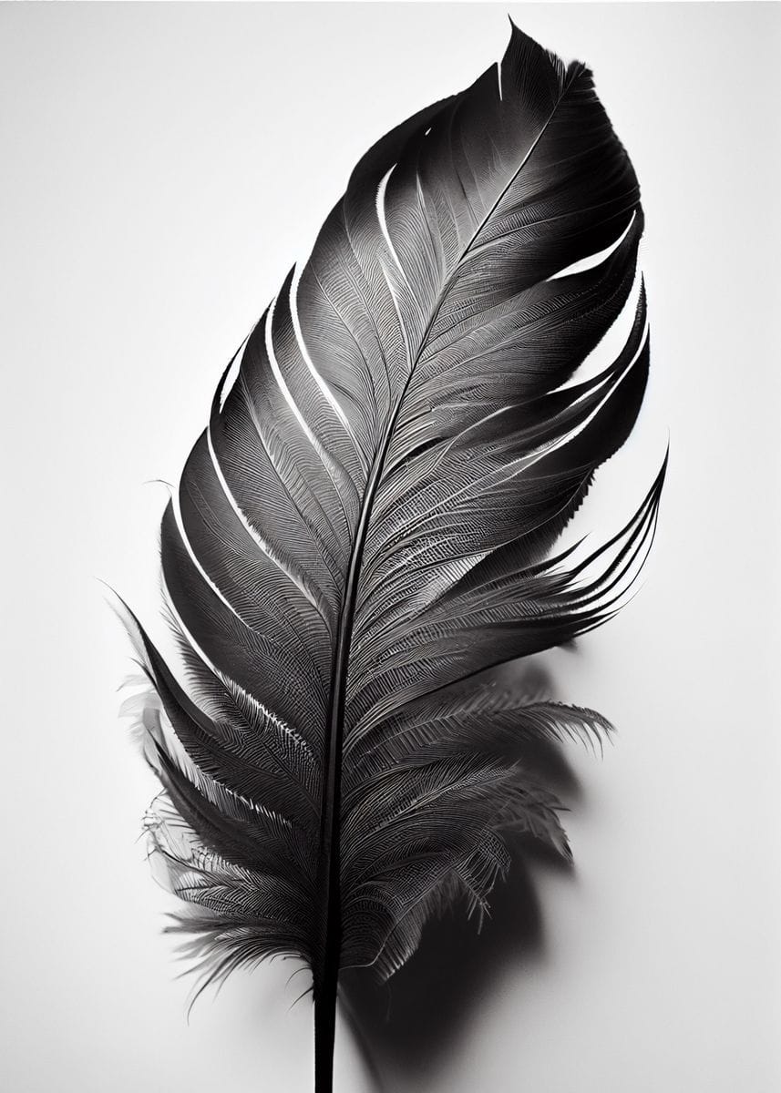 'black feather' Poster, picture, metal print, paint by FotoRichter | Displate