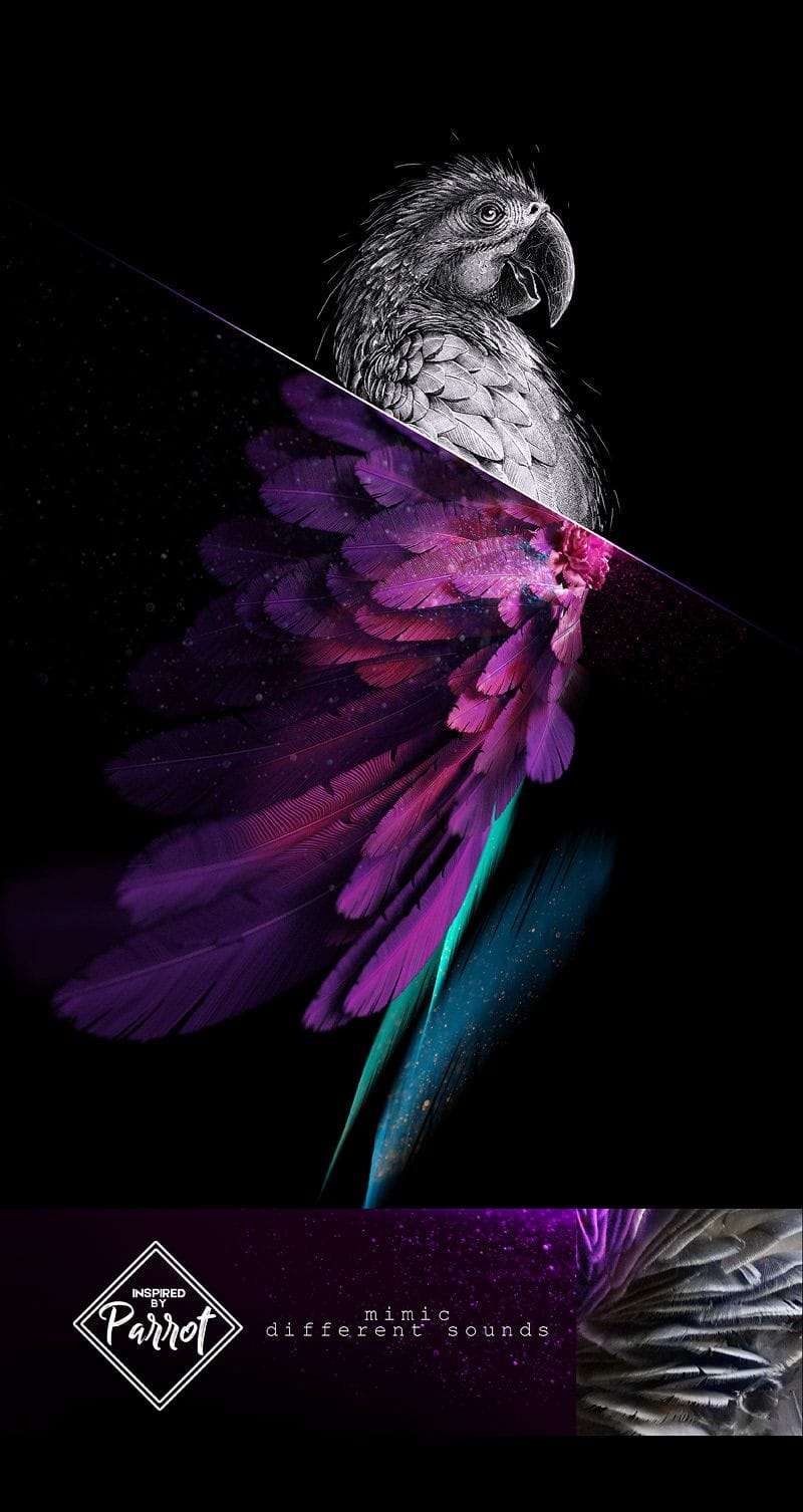 Feathers poster