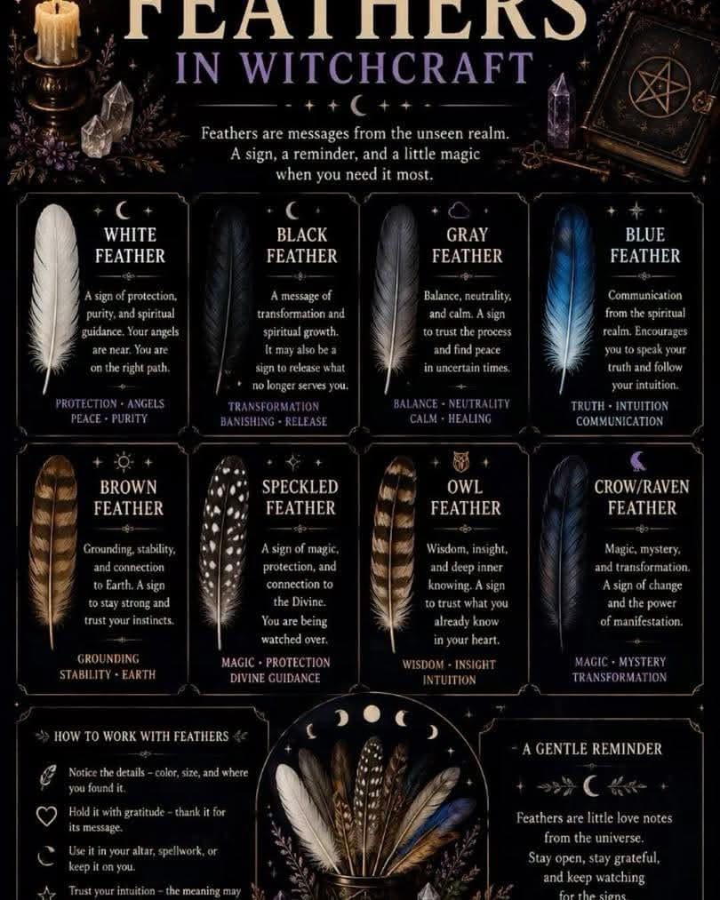 Feathers poster