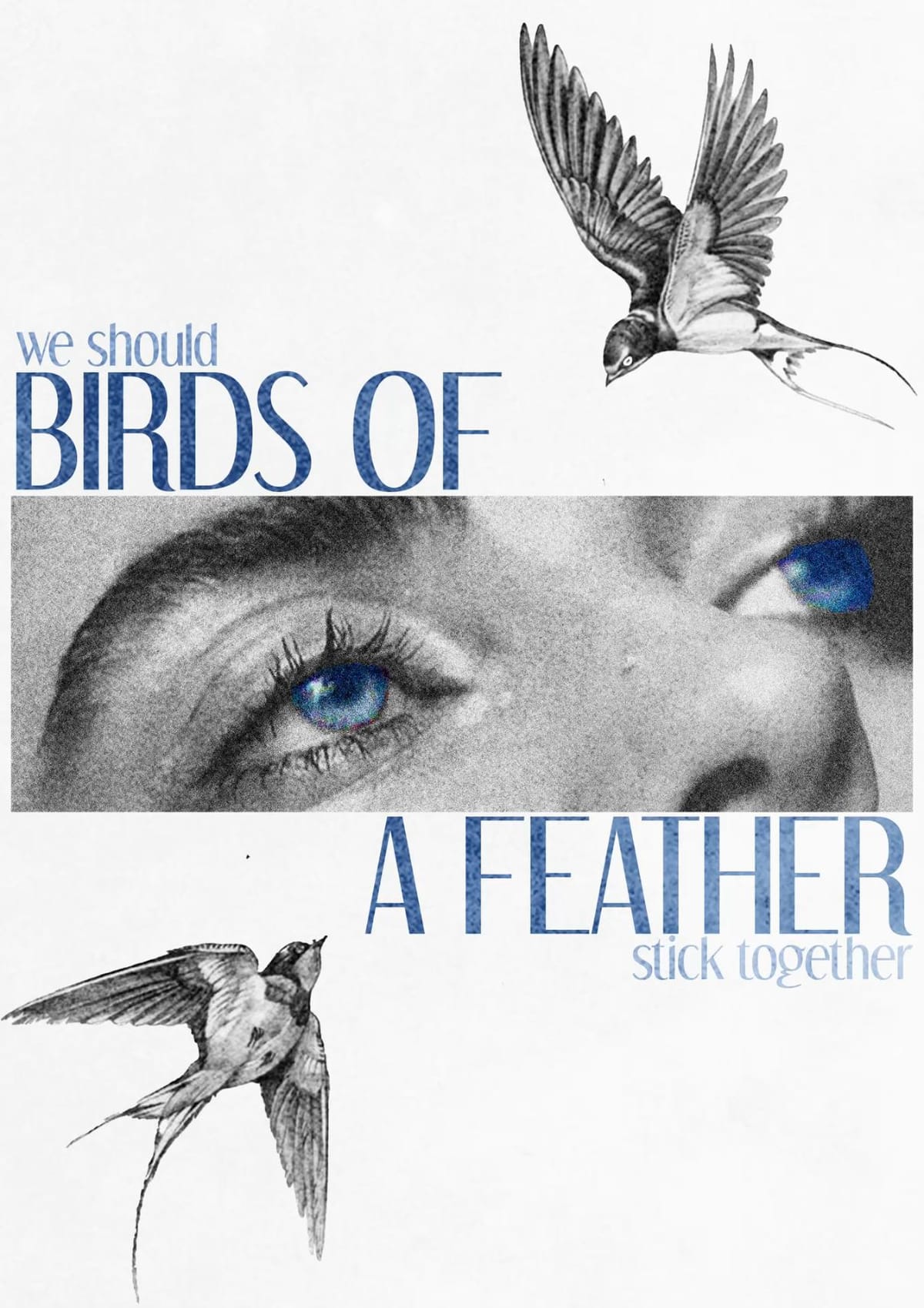Birds of a Feather poster #3