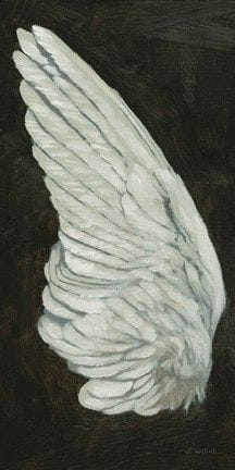 Wings II by James Wiens