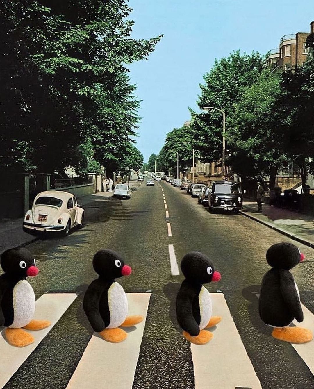 Pingu poster
