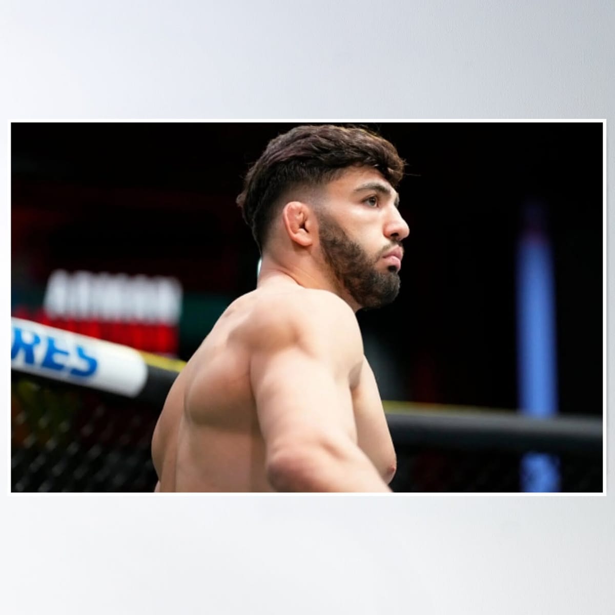 Arman Tsarukyan Poster