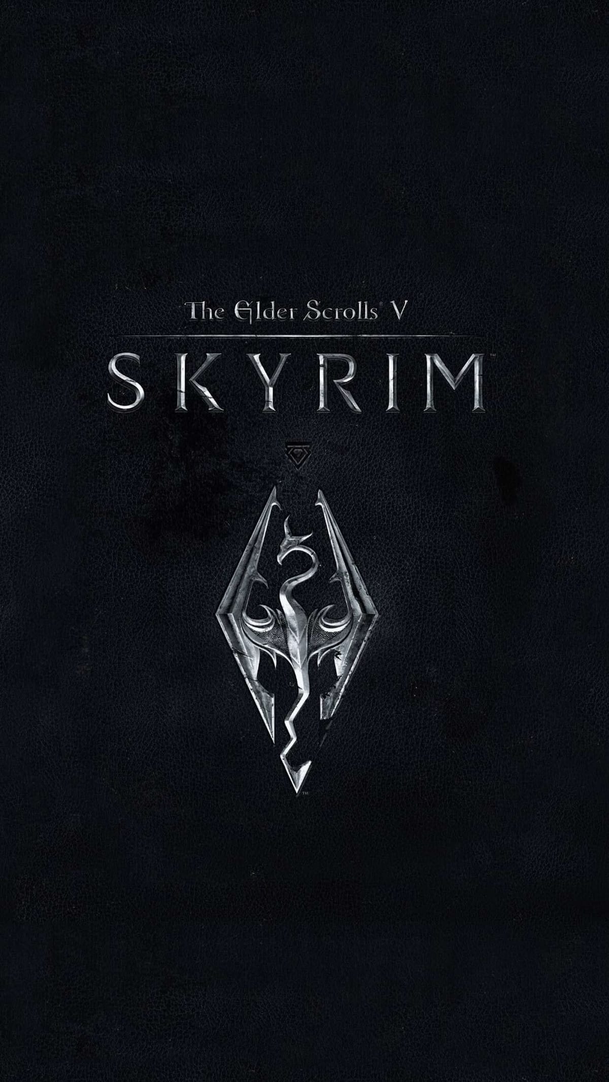 Skyrim poster