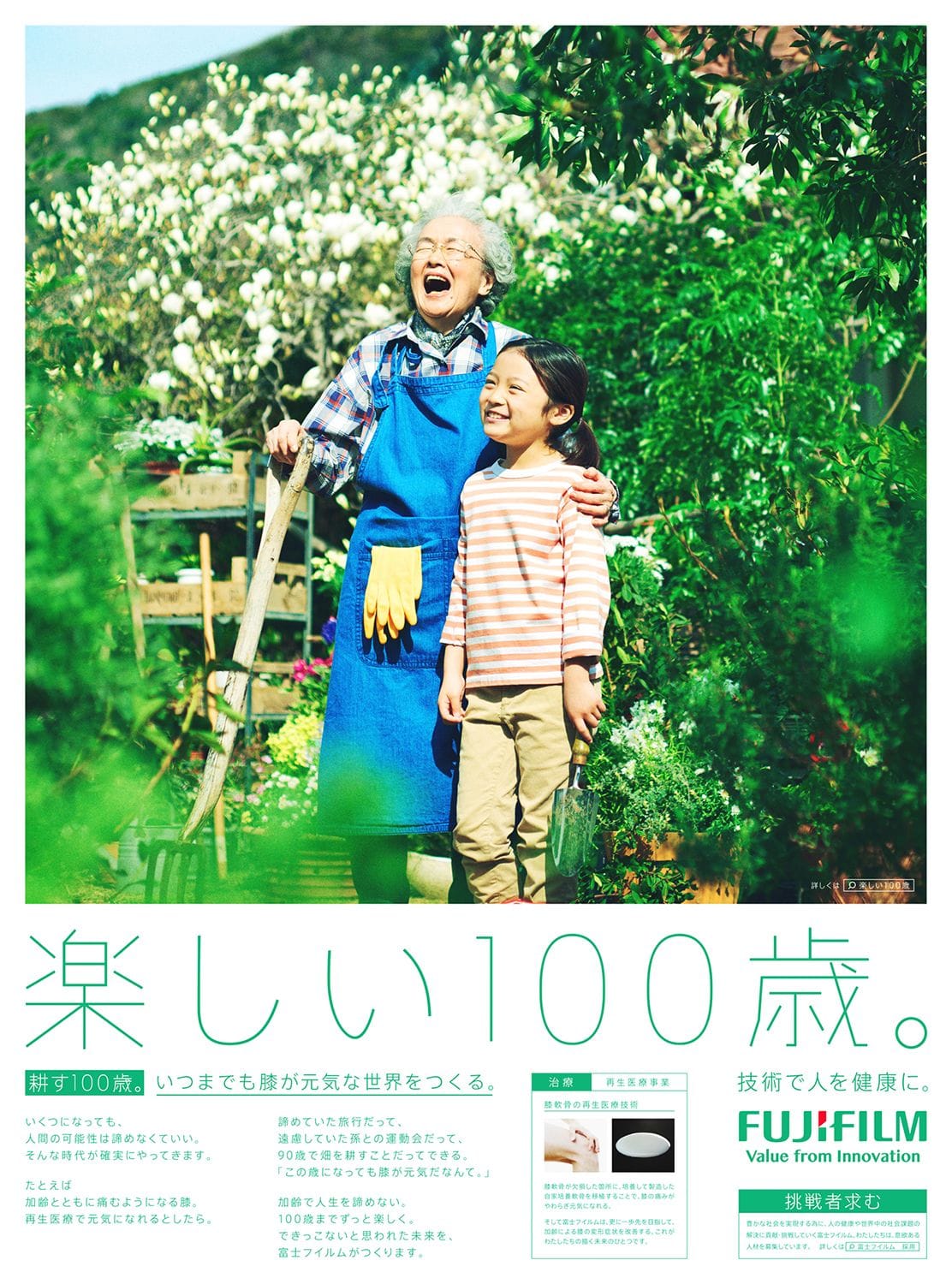 Fujifilm Japan poster