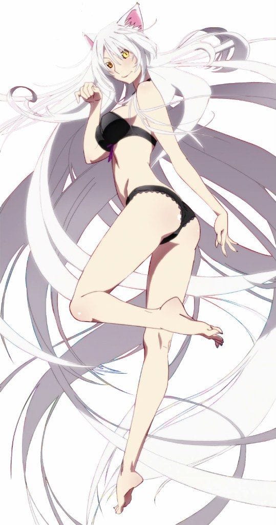 Hanekawa Senjougahara poster