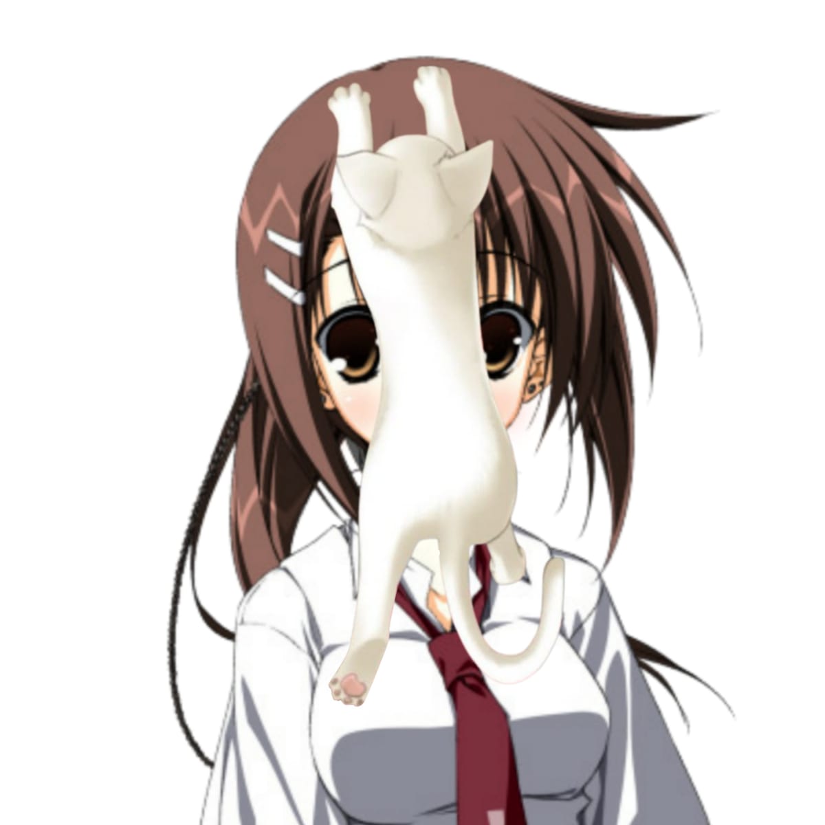 minakami yuki