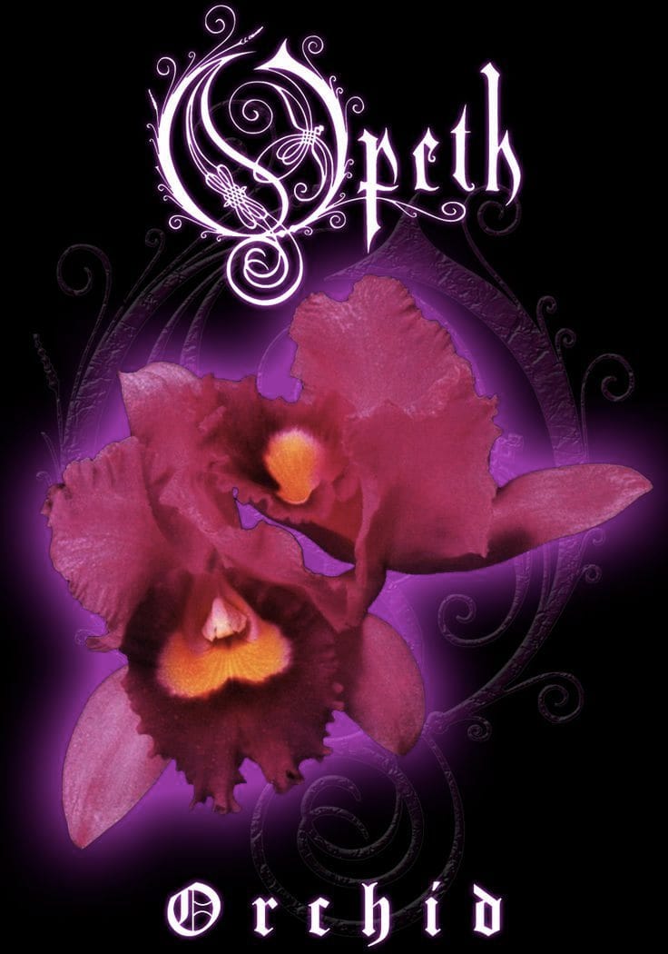 Opeth - Orchid