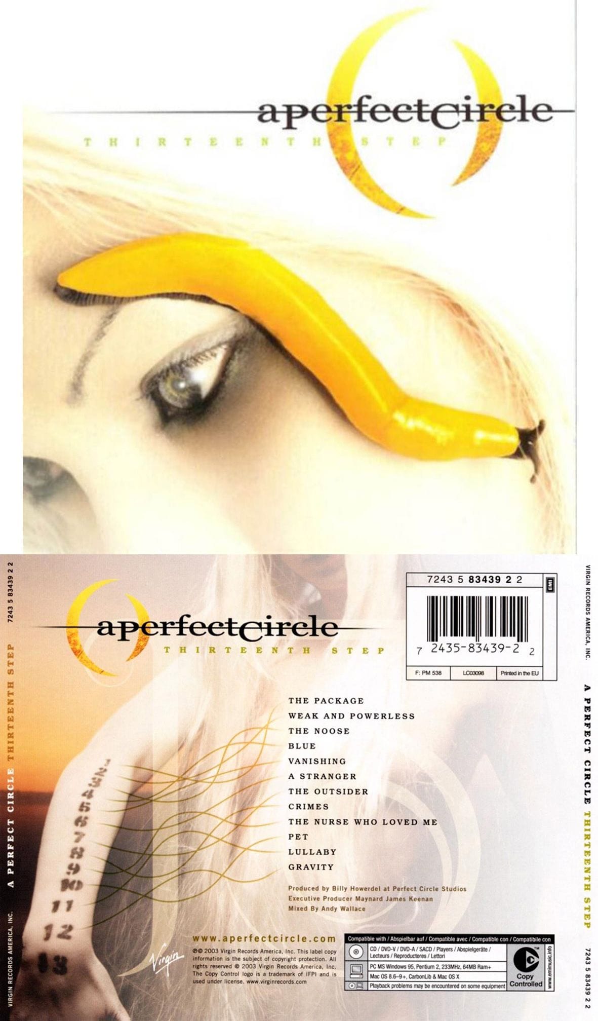 A Perfect Circle poster