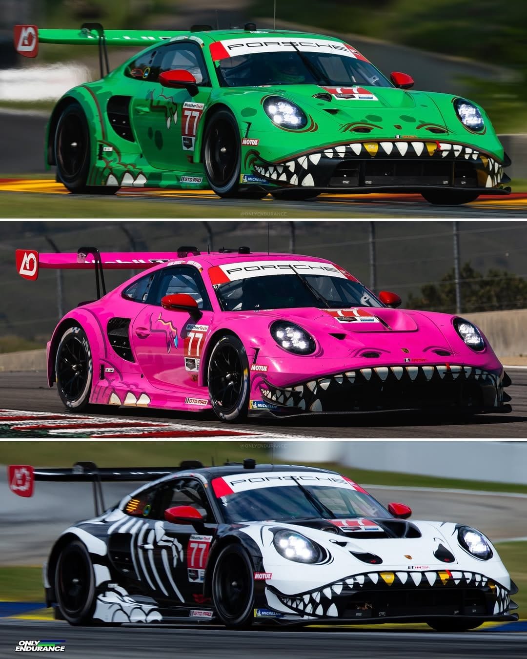 Chooseday: Rexy, Roxy or Spooky?