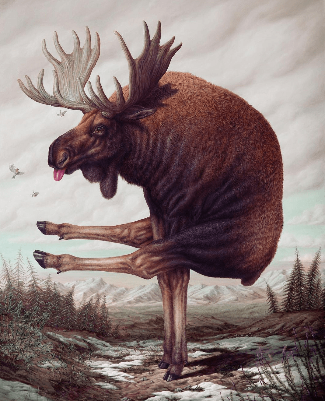 Moose poster