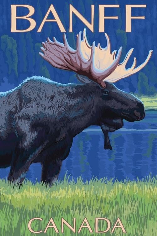 Banff, Canada - Night Moose - LP Original Poster Premium Giclee Print