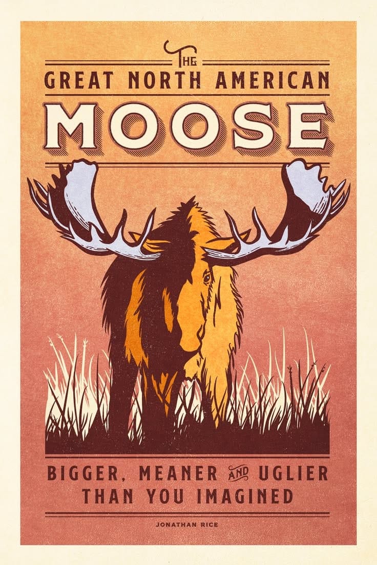Moose Wildlife Poster
