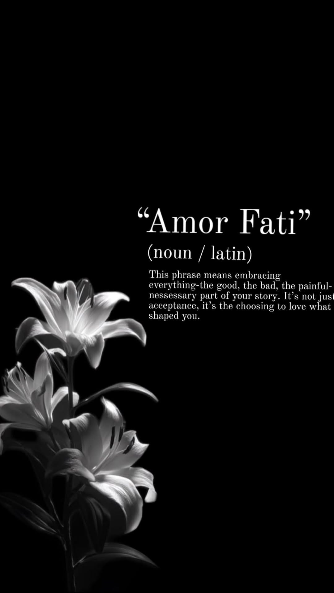 Amor fati poster