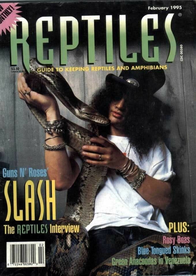Slash poster