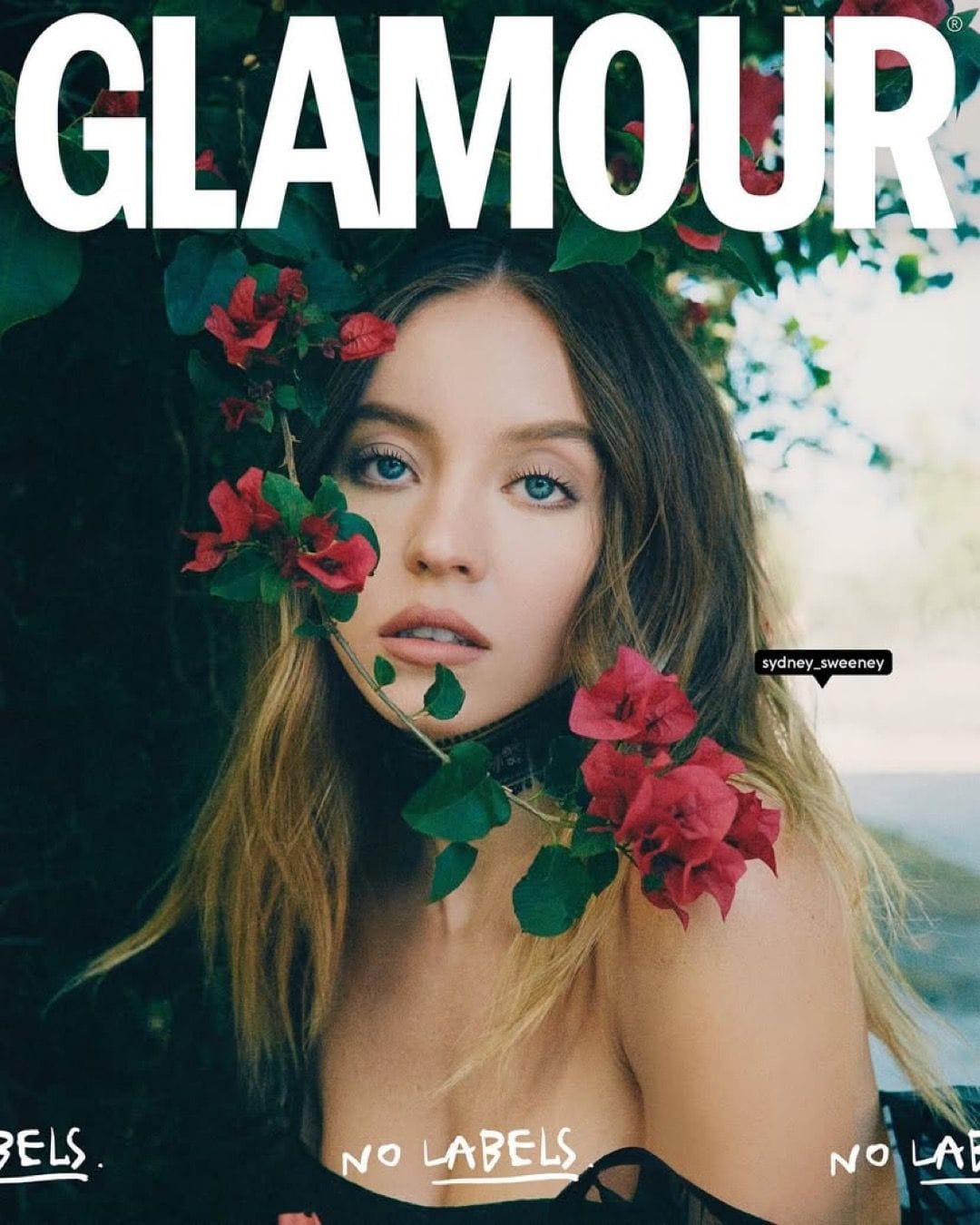 Sydney Sweeney poster