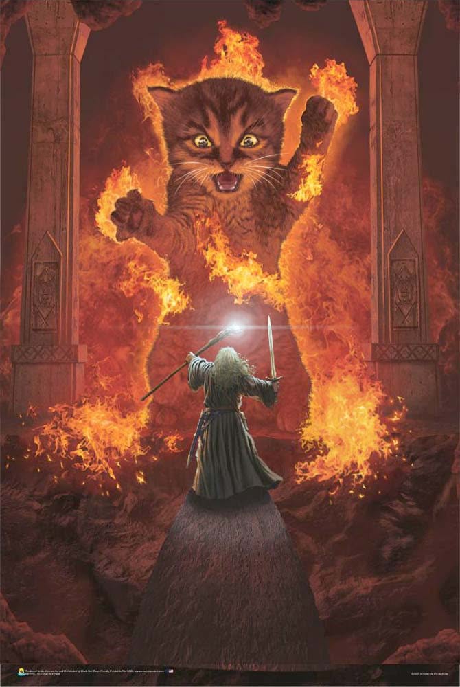 You Shall Not Pass by Vincent Hie Poster - 24 x 36 inches