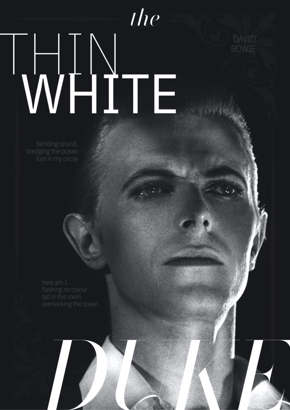 david bowie thin white duke poster