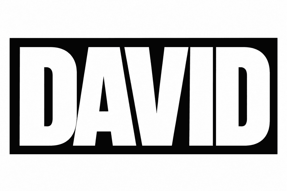 David poster