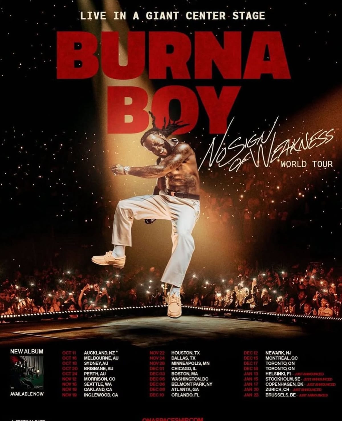 Burna Boy poster