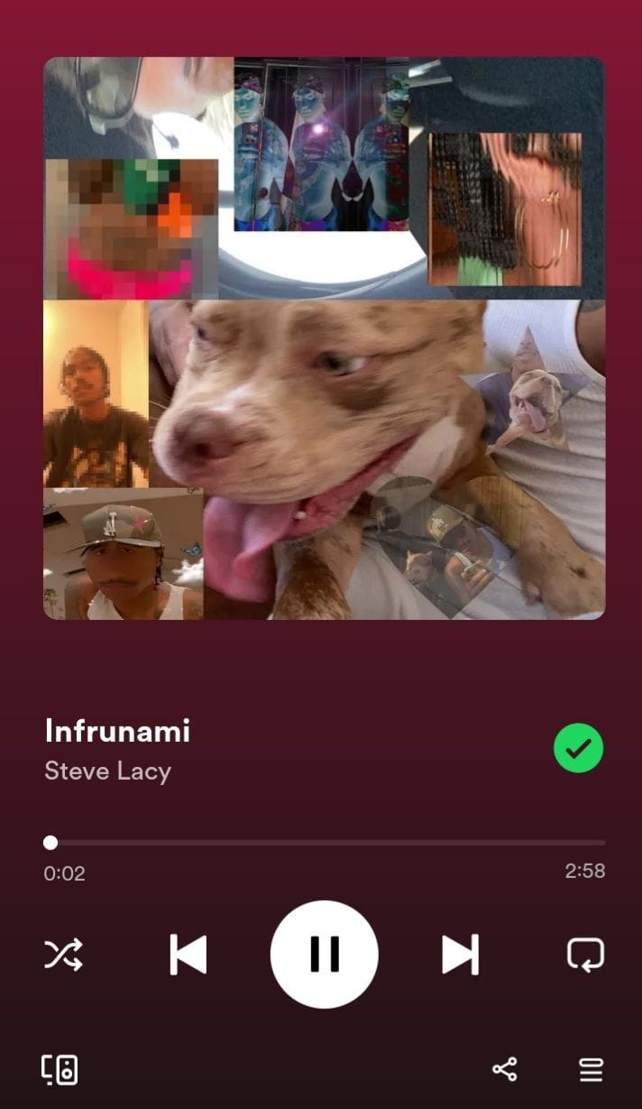 Infrunami - Steve Lacy