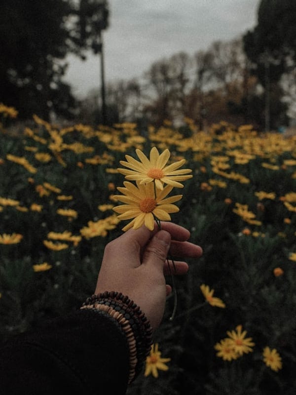 AESTHETIC
